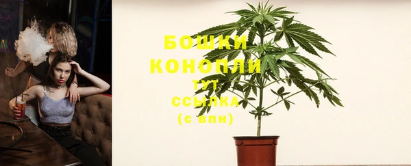 прущие грибы Балахна