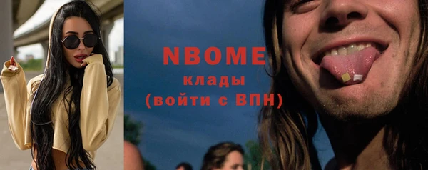 прущие грибы Балахна