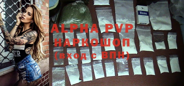 дживик Белокуриха