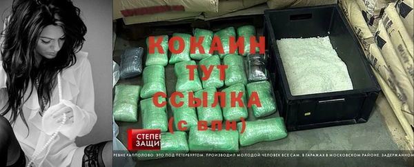 дживик Белокуриха
