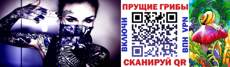 Галлюциногенные грибы MAGIC MUSHROOMS Калуга